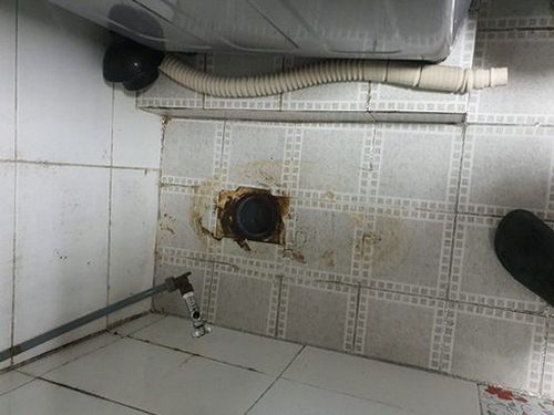 청주시 청원구 하수구막힘 북이면 하수구막힘 욕실 바닥 역류 빌라에서 해결 방법 정리